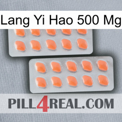 Lang Yi Hao 500 Mg 27